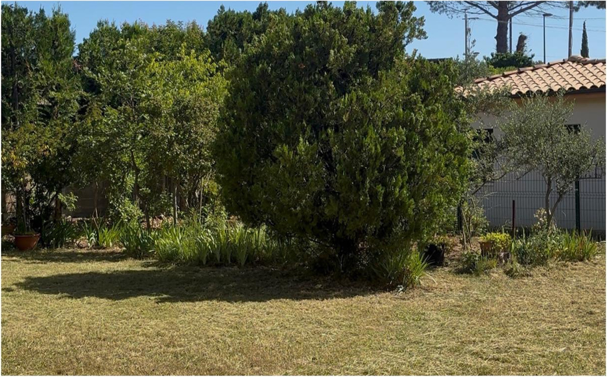 Réalisation entretien de jardin
