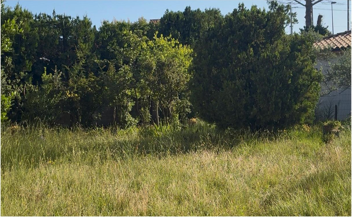 Réalisation entretien de jardin